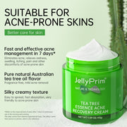 Tea Tree Skincare Kit